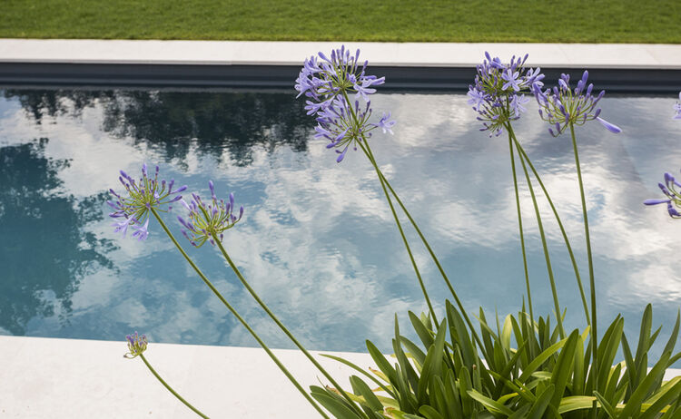 Pool_9
